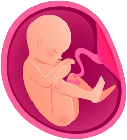 Follow-my-baby-growth